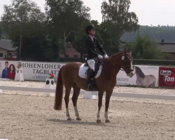 Reitturnier Rot am See- Musdorf 2022