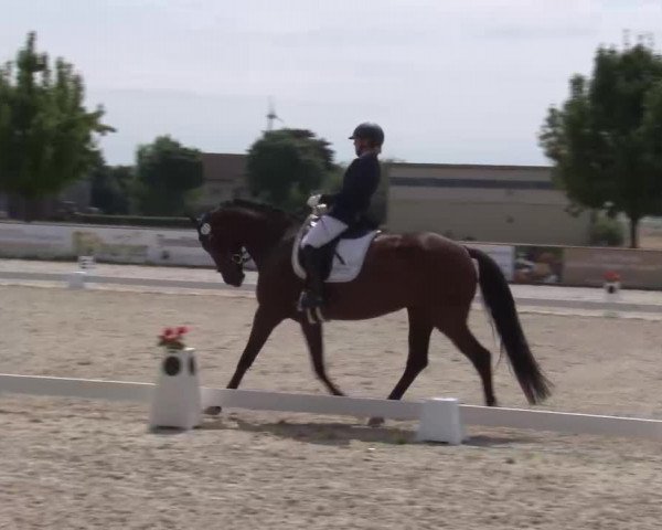 Reitturnier Rot am See- Musdorf 2022
