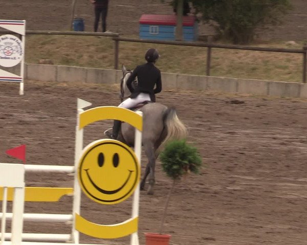 Reitturnier Halle-Seeben 2022