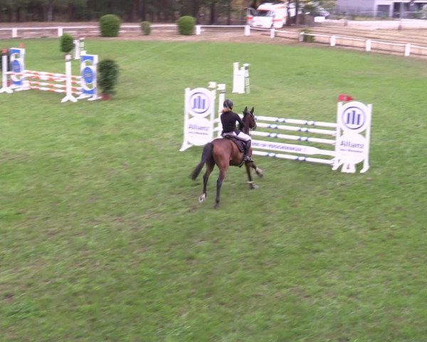 Reitturnier Cottbus-Sielow 2022