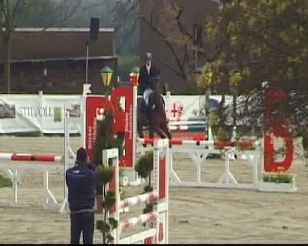 Springpferd Carlsson 62 (Holsteiner, 2006, von Contender)