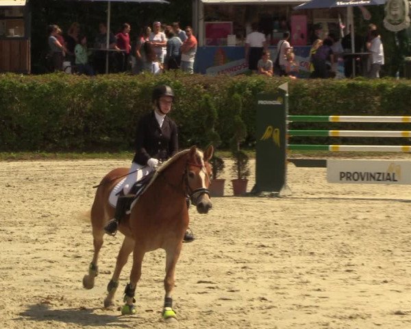 Reitturnier Vlotho-Exter 2022