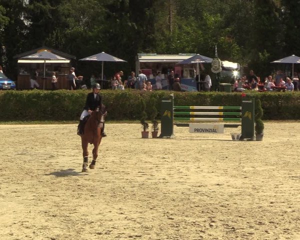 Reitturnier Vlotho-Exter 2022