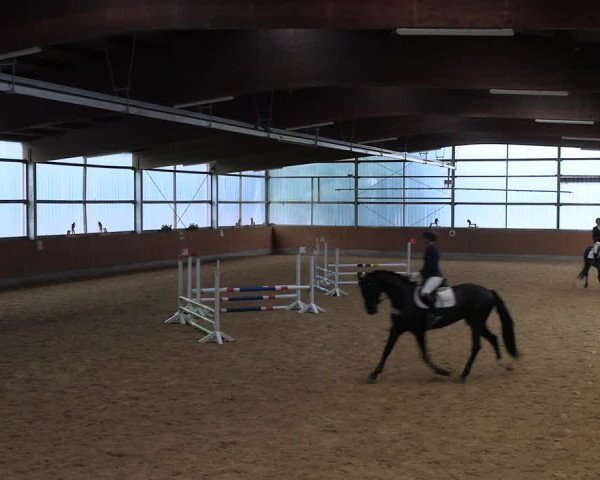 Reitturnier Herbern 2022
