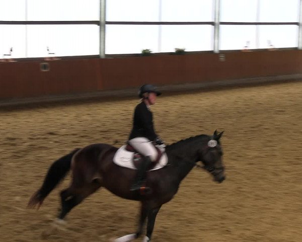 Reitturnier Herbern 2022