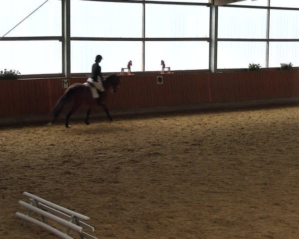 Reitturnier Herbern 2022