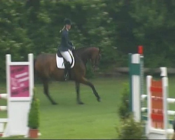 jumper Constella 3 (Württemberger, 2007, from Carlo Carlucci NH)