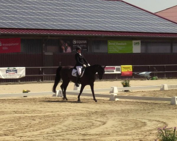 Reitturnier Marienheide-Kempershöhe 2022