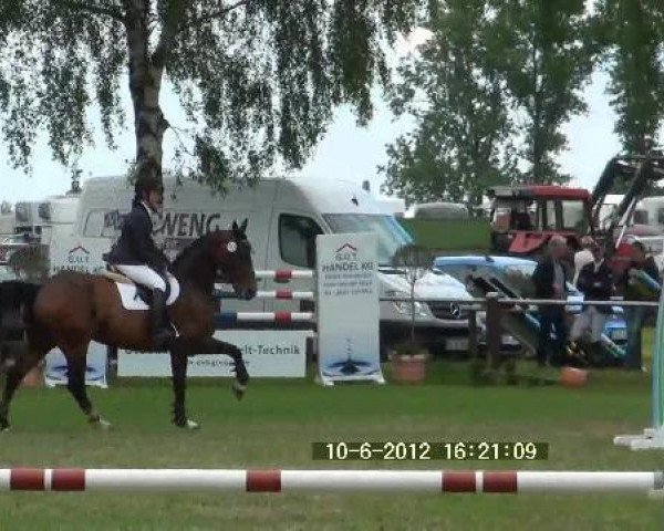 jumper Sunny (Hanoverian, 1999, from Sherwood)