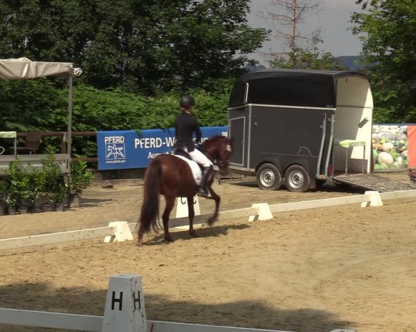 Reitturnier Marienheide-Kempershöhe 2022