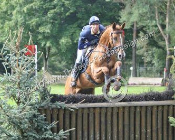 broodmare High Speedy (Hanoverian, 2005, from High Spirits)