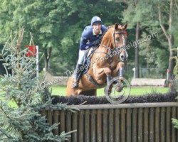 broodmare High Speedy (Hanoverian, 2005, from High Spirits)
