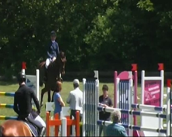 jumper Cliff Richard (Hanoverian, 2005, from Contendro I)