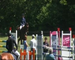 jumper Cliff Richard (Hanoverian, 2005, from Contendro I)