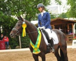 dressage horse Take a look (Zweibrücken, 2013, from Totilas)