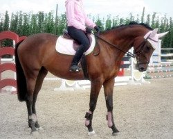 Zuchtstute Vanda 7 (Tschechisches Warmblut, 1997, von Azol xx)