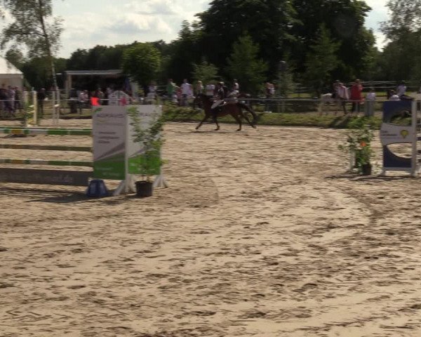 Reitturnier Herbern 2022