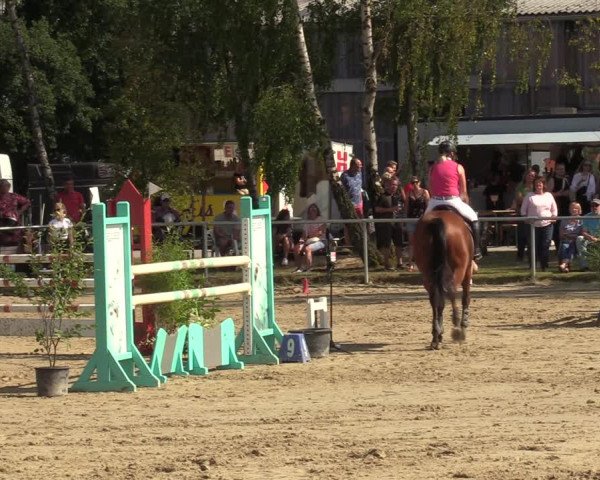 Reitturnier Herbern 2022