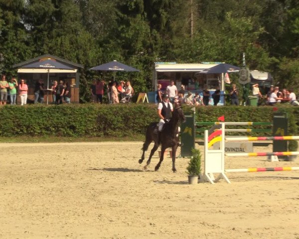 Reitturnier Vlotho-Exter 2022