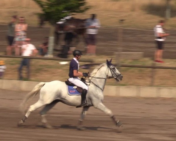 Reitturnier Halle-Seeben 2022