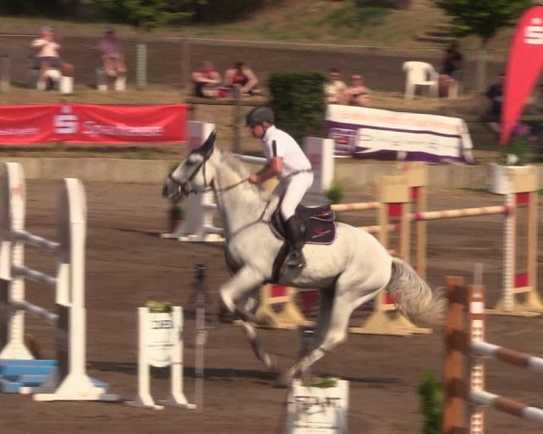 Reitturnier Halle-Seeben 2022
