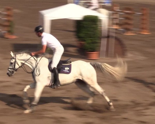Reitturnier Halle-Seeben 2022