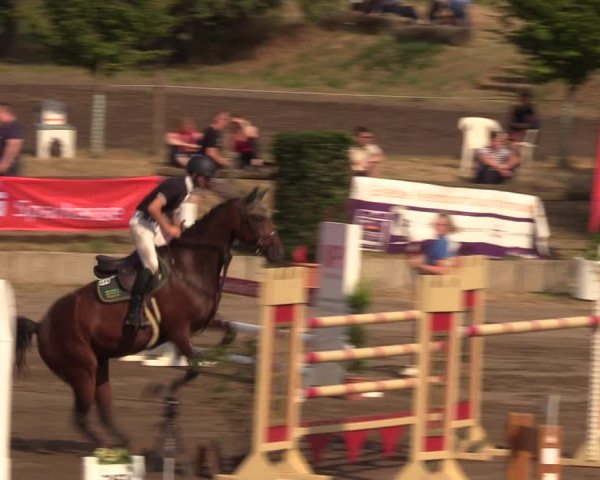 Reitturnier Halle-Seeben 2022