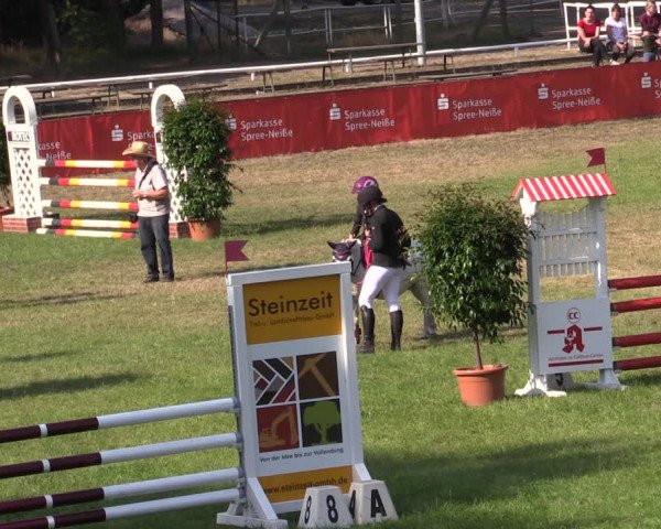 Reitturnier Cottbus-Sielow 2022