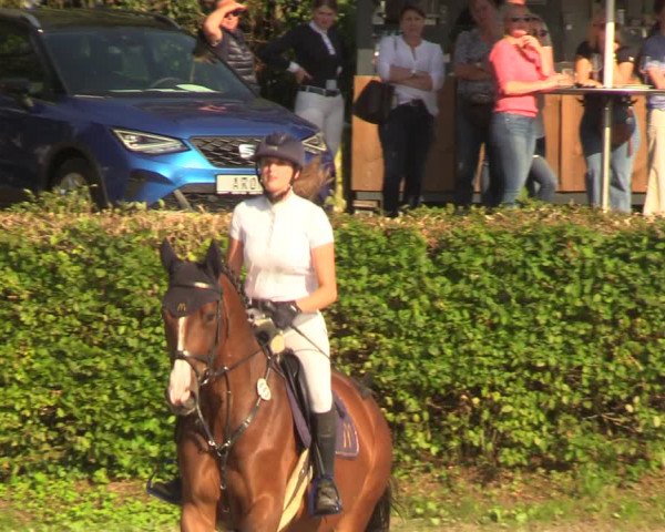 Reitturnier Vlotho-Exter 2022
