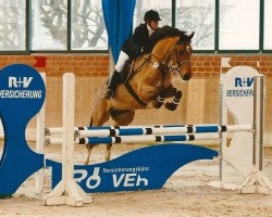 Springpferd Lexery (Westfale, 2004, von London)