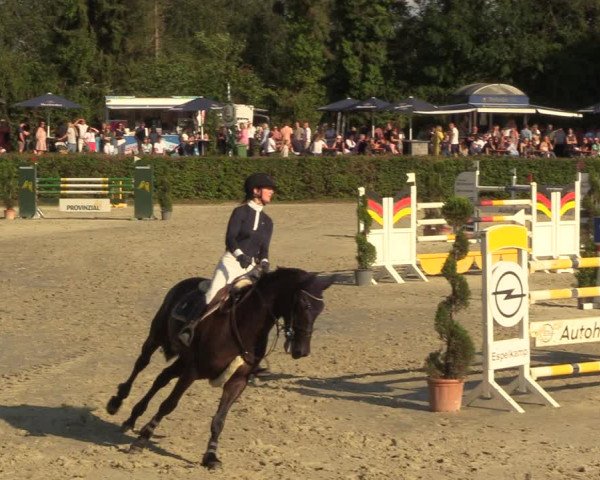 Reitturnier Vlotho-Exter 2022
