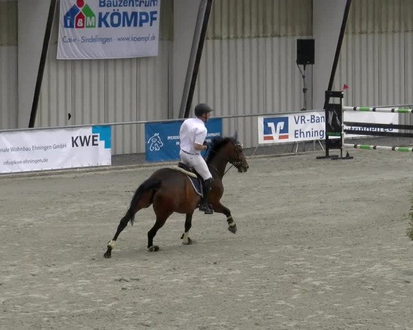 Reitturnier Ehningen 2022