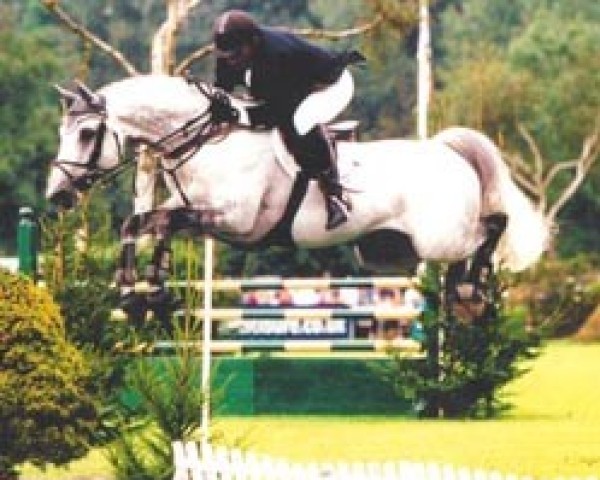 broodmare Elektia V (Oldenburg, 1975, from Inschallah AA)