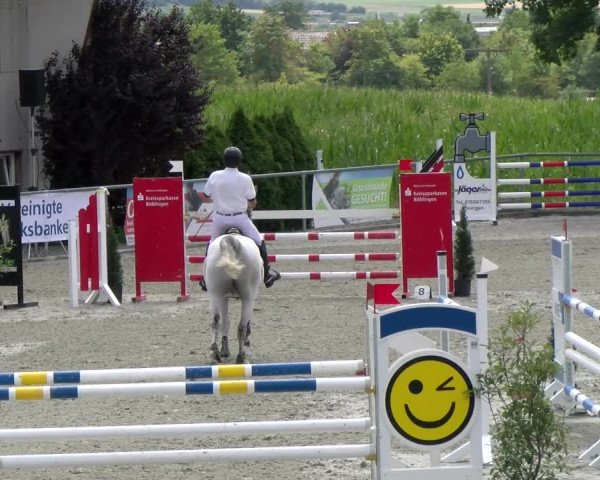 Reitturnier Ehningen 2022