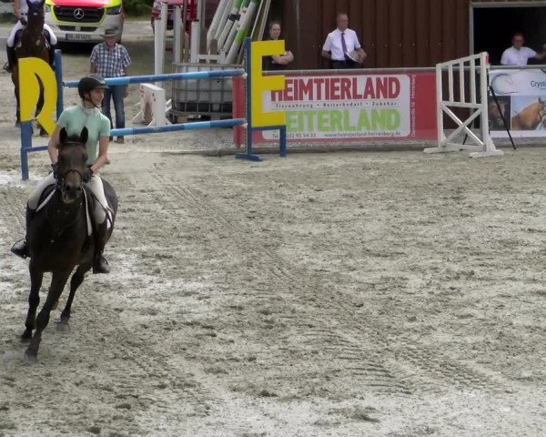 Reitturnier Ehningen 2022