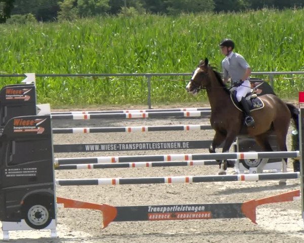 Reitturnier Ehningen 2022