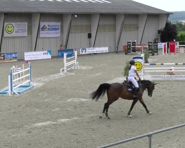 Reitturnier Ehningen 2022