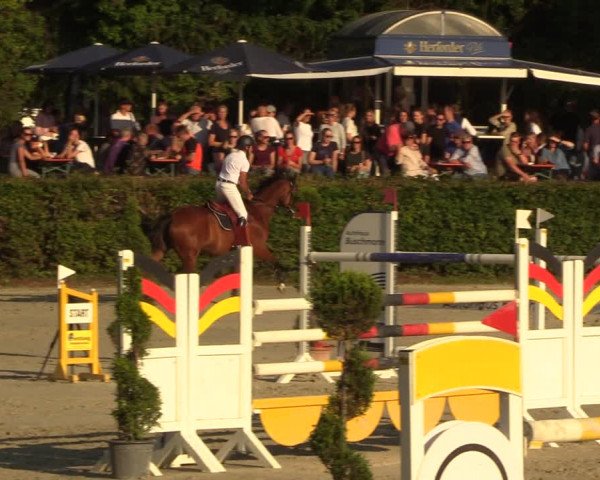 Reitturnier Vlotho-Exter 2022