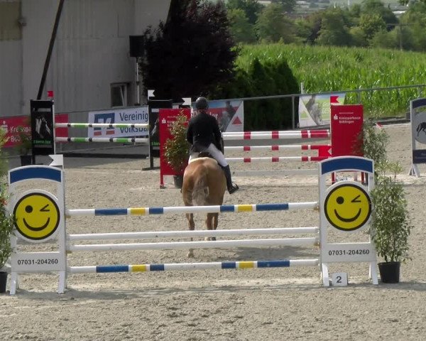 Reitturnier Ehningen 2022
