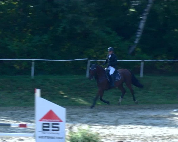 Reitturnier Viersen-Dülken 2022