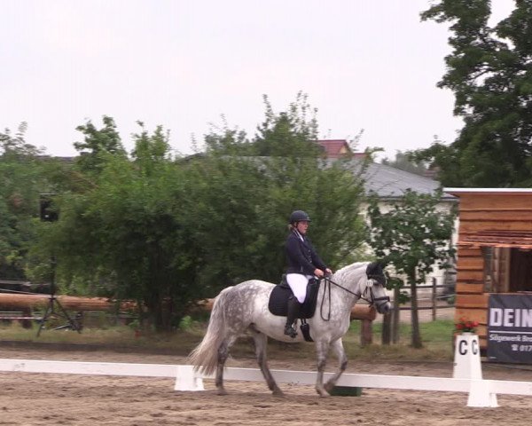 Reitturnier Halle-Seeben 2022