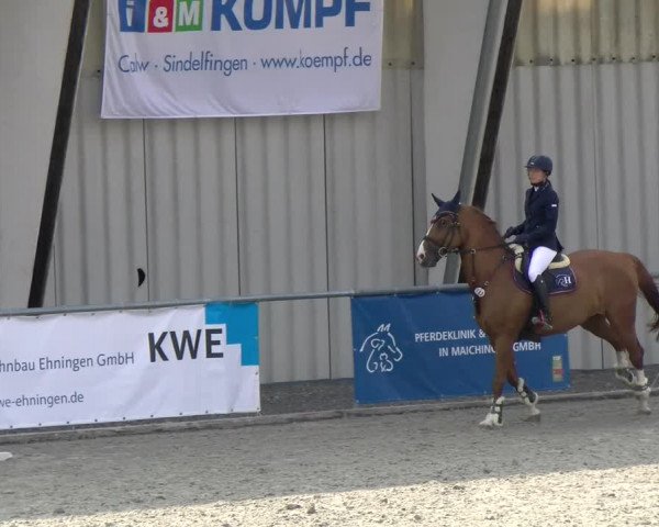 Reitturnier Ehningen 2022