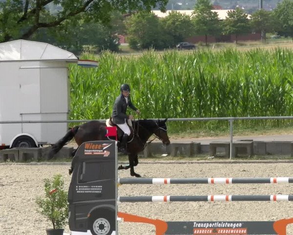 Reitturnier Ehningen 2022