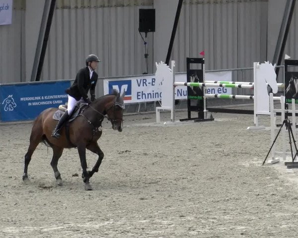 Reitturnier Ehningen 2022