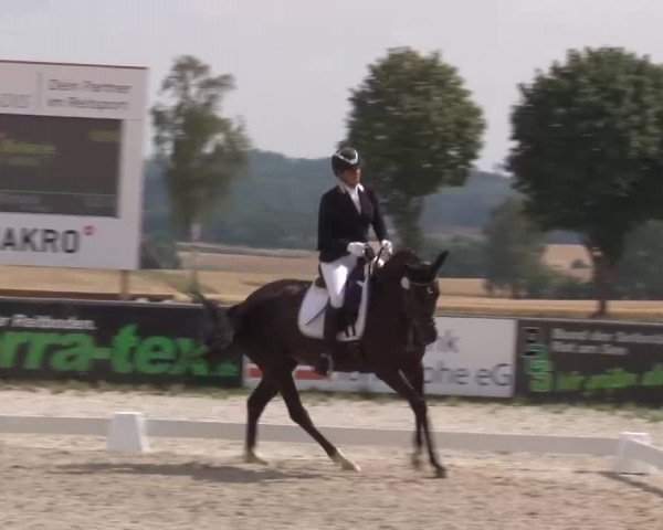 Reitturnier Rot am See- Musdorf 2022