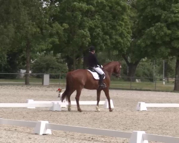 Reitturnier Rot am See- Musdorf 2022
