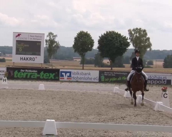 Reitturnier Rot am See- Musdorf 2022