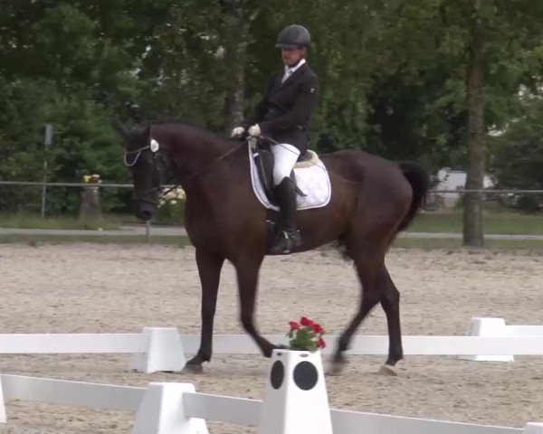 Reitturnier Rot am See- Musdorf 2022