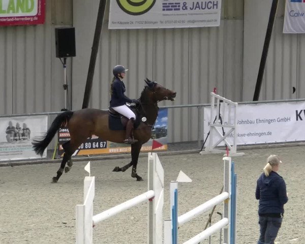 Reitturnier Ehningen 2022