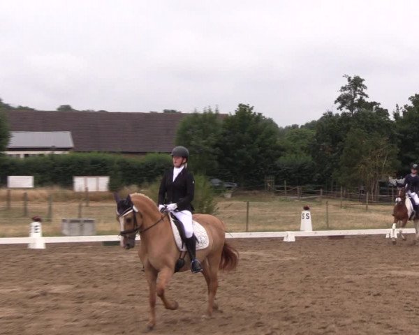 Reitturnier Halle-Seeben 2022